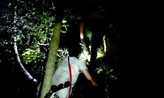 青岛女子爬浮山迷路被困悬崖 夜幕下上演紧急救援