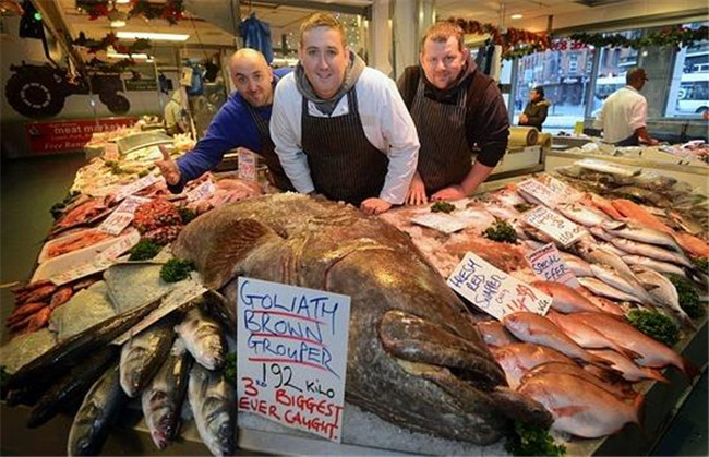 一条吃半年 一天192公斤巨型石斑鱼在英国商店售卖