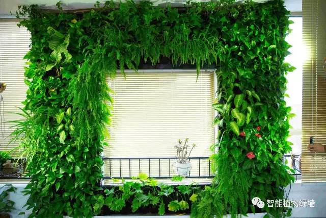 绿色装修风向标引领绿色潮流“转变绿色装饰创新思路、打造绿色产业链合作模式”