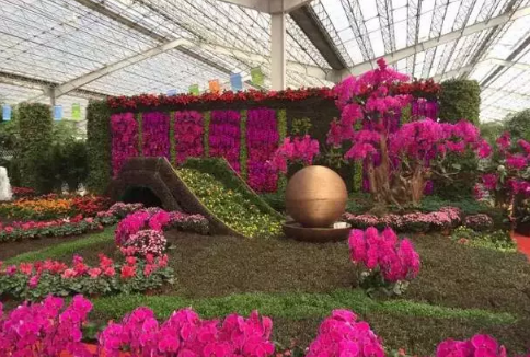 第十七届中国（青州）花卉博览交易会精彩预告！