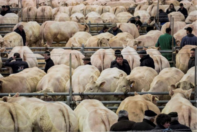 甲烷浓度急速上升 可能影响对抗全球暖化的努力
