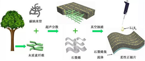 青岛生物能源与过程研究所用木质素研发出高性能锂硫电池