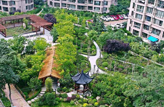 青岛市园林绿化建设和裸露土地绿化工作稳步进行 三匹“小绿马”成黄岛区景观标志