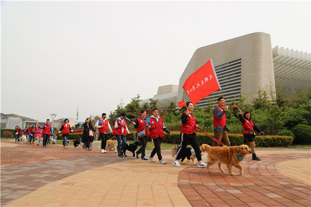 真正的爱狗人士：50只宠物犬随主人游行宣传“文明养犬”