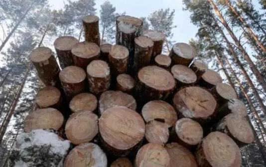 【跨境家具】木材危机！俄罗斯18万人签名要求暂停对中国出口木材