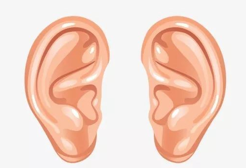 每天学点养生：易学里，耳朵变化与健康有什么关系？