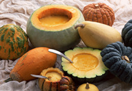 怎样解决孩子消化不良的问题