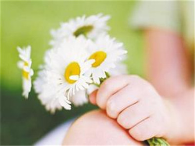 宝宝对花粉过敏的原因以及预防