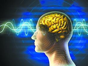 老年人该如何预防脑功能衰退问题