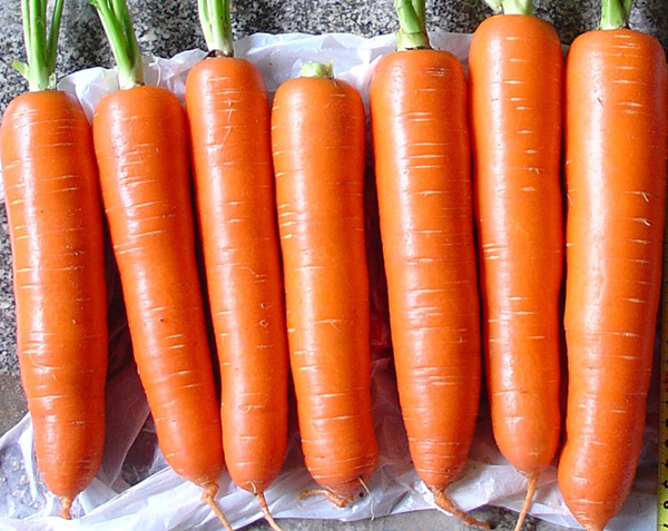 胡萝卜的挑选小贴士营养价值及注意事项