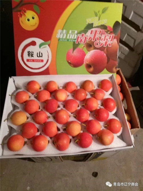青岛市辽宁商会——家乡水果飘香季，引青推介速选购